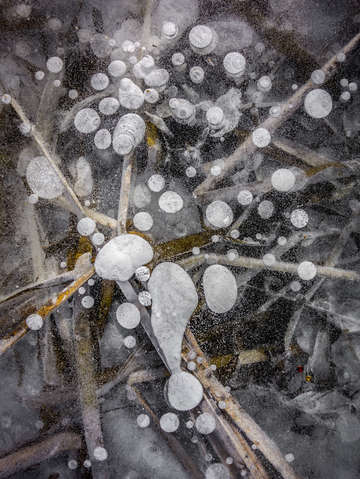Black pond ice with air bubbles