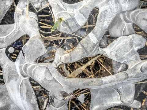 Black pond ice with air pockets