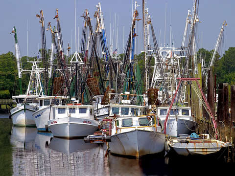 Mccelanville shrimp fleet