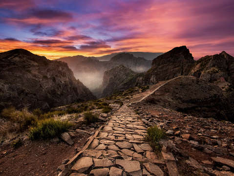 Endless path