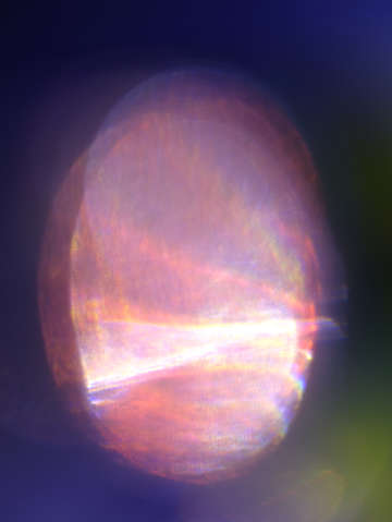 Pink glow 0845