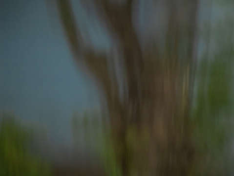 Tranquility 13