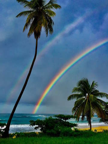 Rainbows