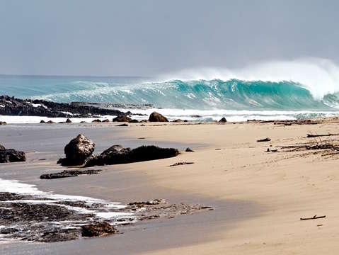 Turquoise wave