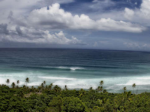 Overview