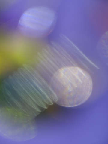 Soft glow 0824