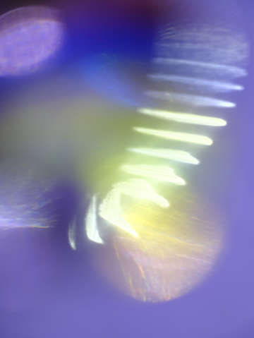 Yellow glow 0826