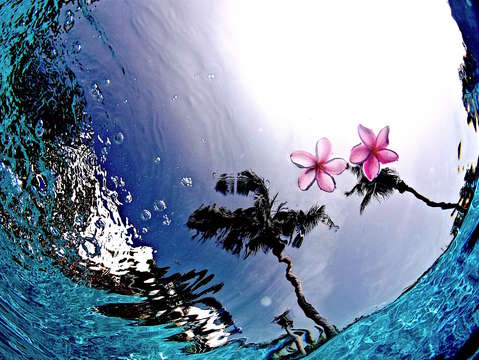 Reflections 17