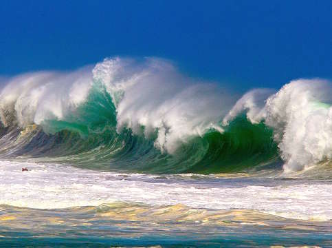 Crazy wave