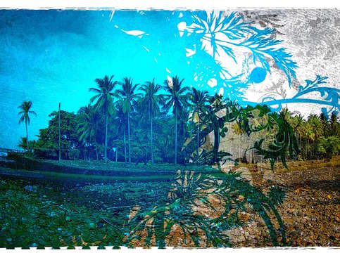 Palm overlay