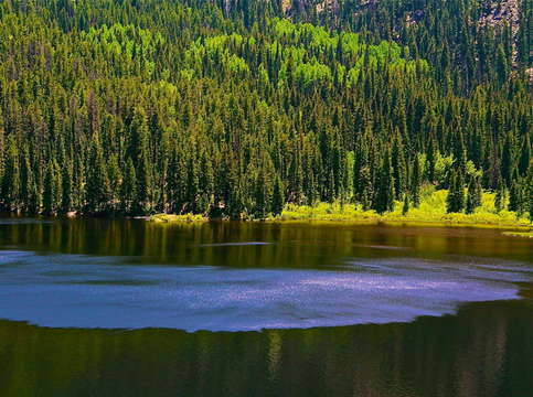 Water reflections