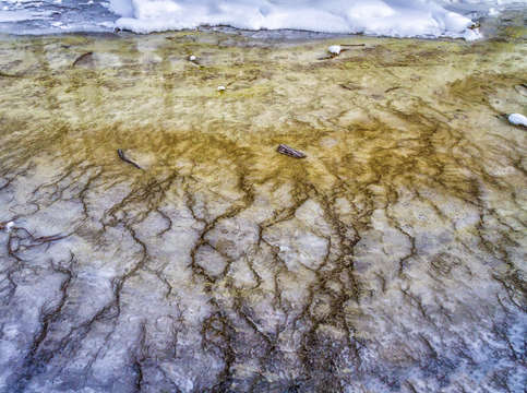 Yellowstone abstract art 7827