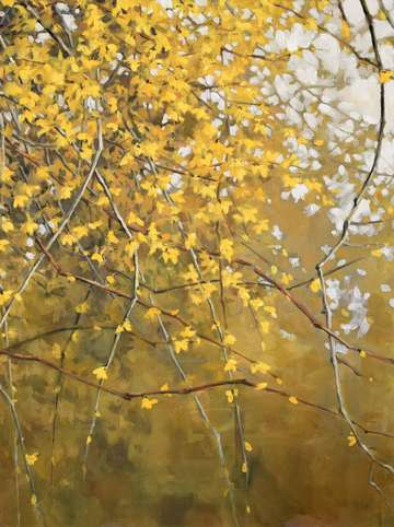 Forsythia 2