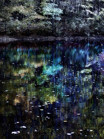 Submerged colors