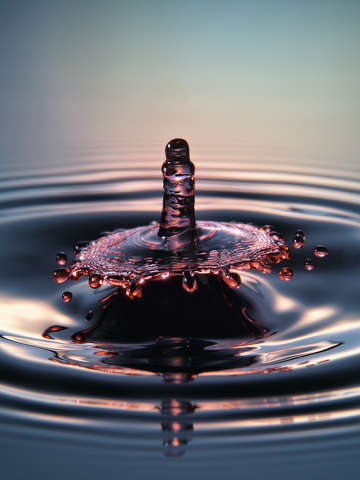 Water drop art 12