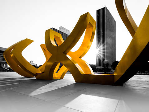 Black and yellow