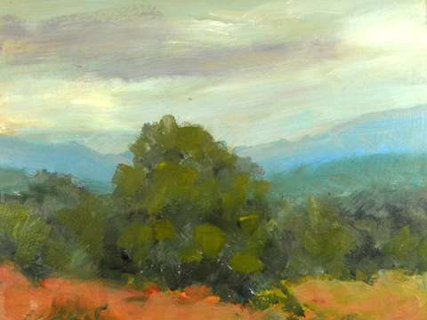 Boxley valley tree