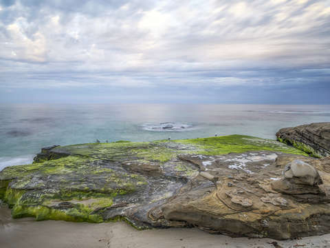 Rock sea of green