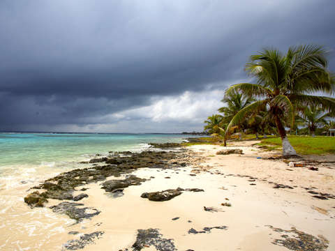 Tropical beach