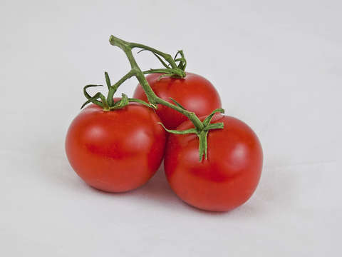 Three tomatoes