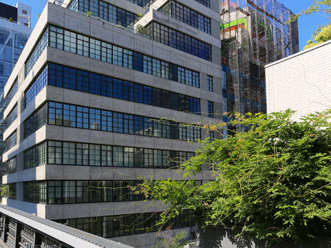 Organic plants reaching across geometric buildings