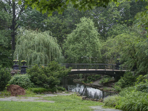 Lafayette square park 3