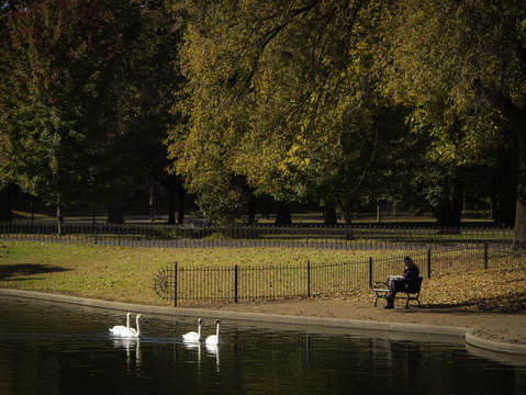 Lafayette square park 5