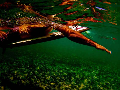 Surfer