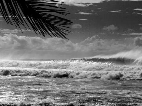 Black white wave 3