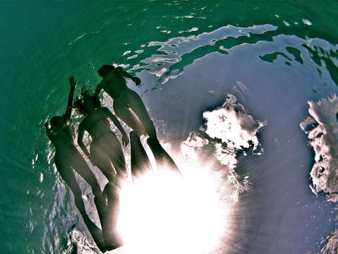 Looking upward underwater