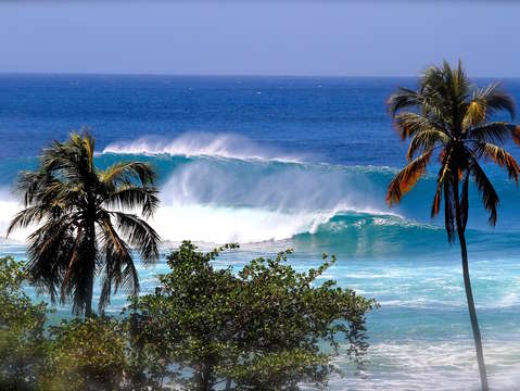 Blue tres palmas