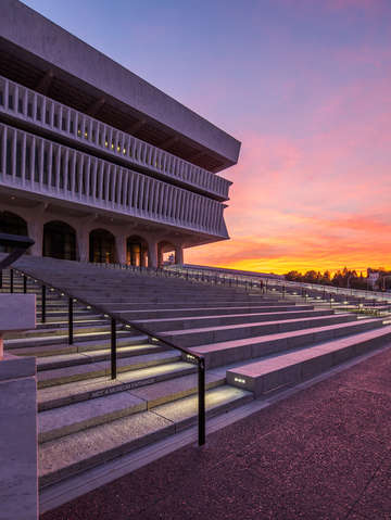 Step into the stadium