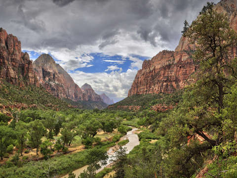 Zion 4