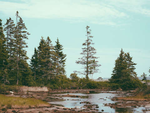 Sublime acadia 2