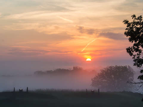 Dual canons at sunrise