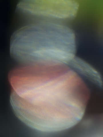 Ephemeral glow 0932
