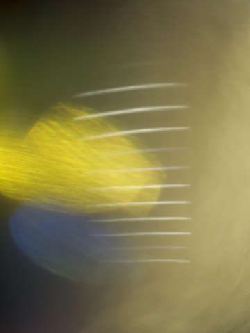 Ephemeral glow 0955