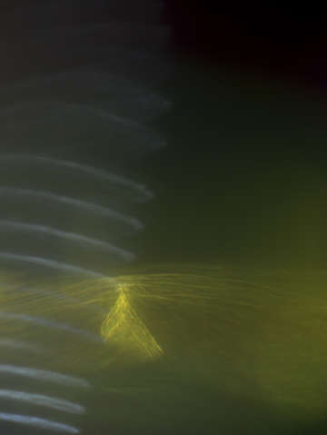 Ephemeral glow 0967