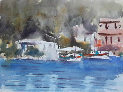 Instant in istanbul bosphorus