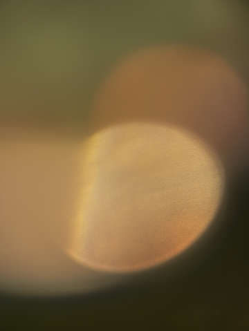 Ephemeral glow 1047