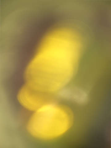 Ephemeral glow 1054