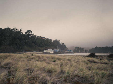 California beach fog