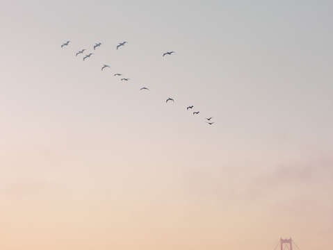 Scenes of the golden gate