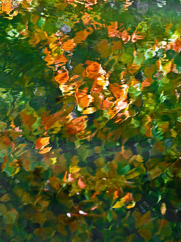 Afternoon on a Hill 138