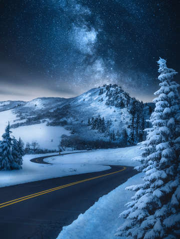 Midnight zone