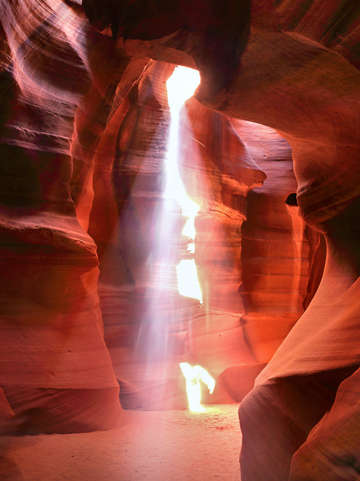 Lightwave