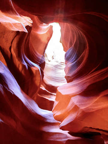 Shining path