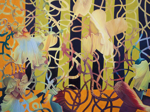 Bearded irises