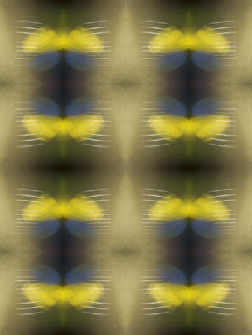 Ephemeral glow 0955 set