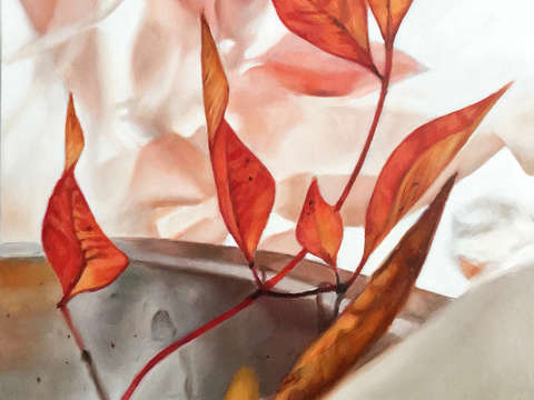 Nandina with tray
